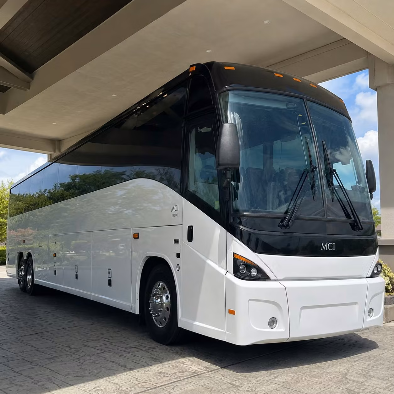 charter buses to dickerson park zoo and springfield s top educational destinations