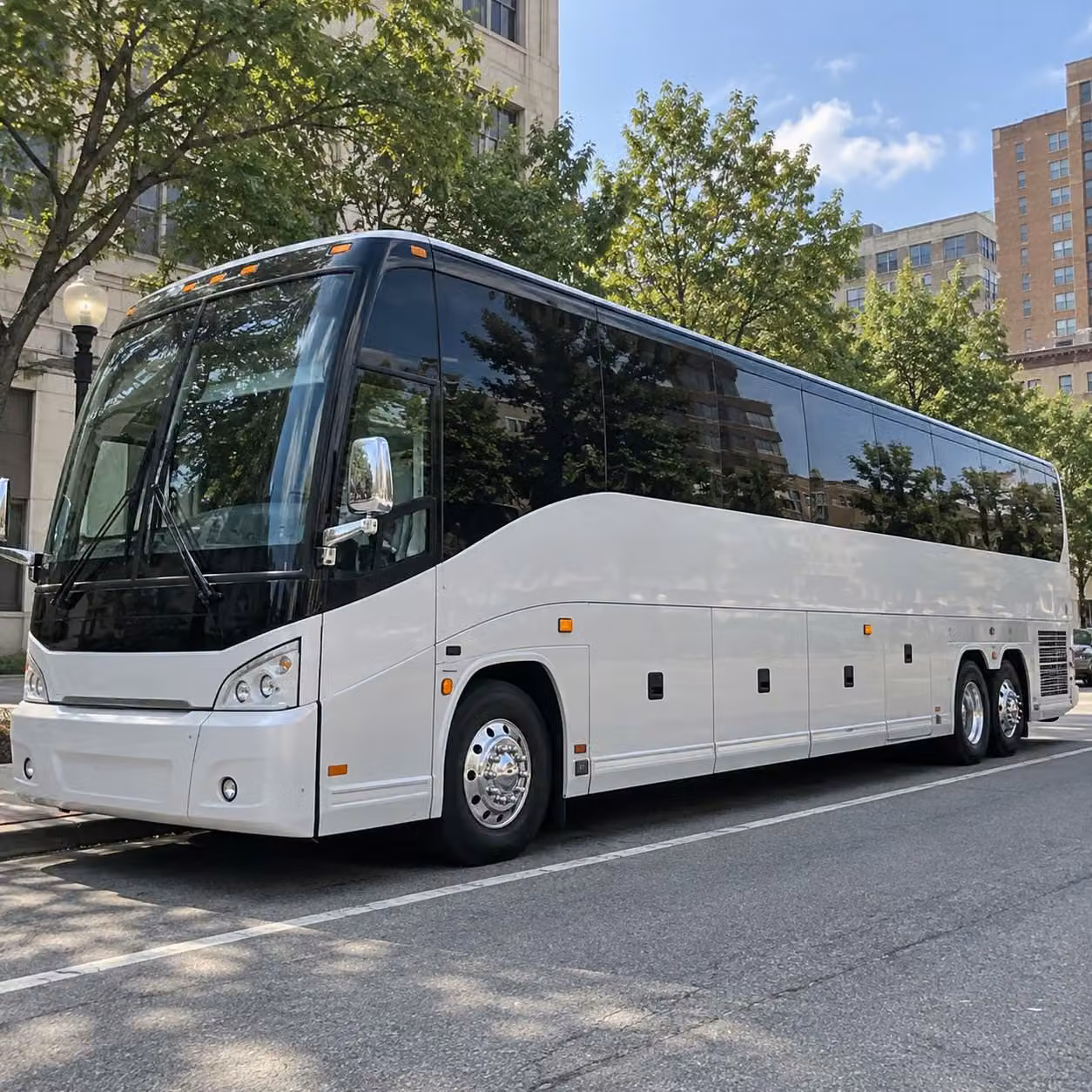 prom transportation in springfield and all the surrounding areas